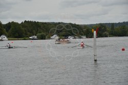 Photograph DSC_1376.jpg