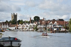 Photograph DSC_1175.jpg