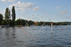 Photograph DSC_1665.jpg