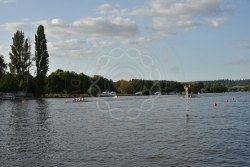 Photograph DSC_1691.jpg