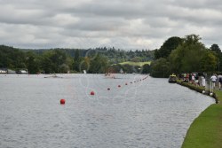 Photograph DSC_1173.jpg