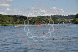 Photograph DSC_4938.jpg