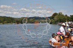 Photograph DSC_5151.jpg