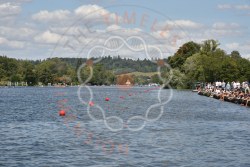 Photograph DSC_5201.jpg