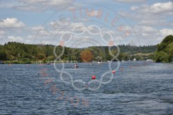 Photograph DSC_5303.jpg