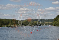 Photograph DSC_5613.jpg